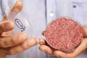 李嘉诚投资人造肉 概念版股价飙涨 首富也来分杯羹？